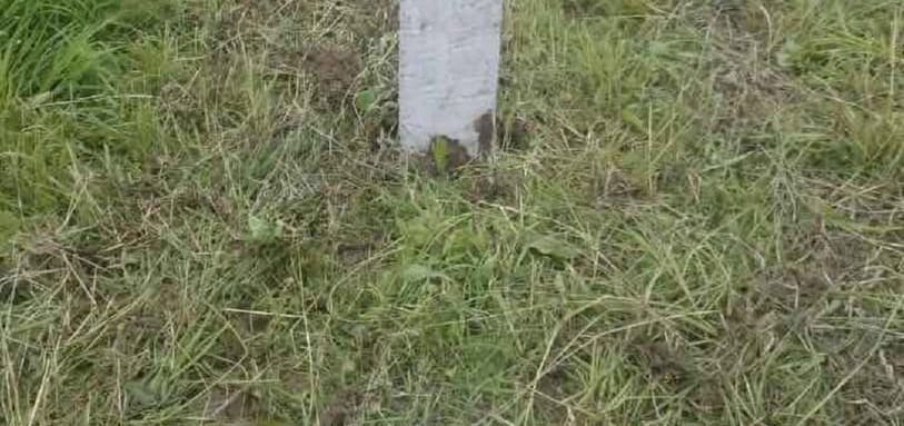 Фундамент на забивных ЖБ сваях